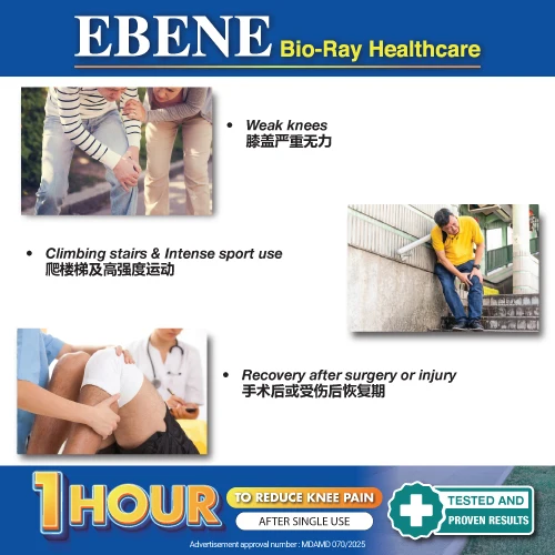 EBENE BIO RAY METAL SUPPORT KNEE GUARD L - Image 6
